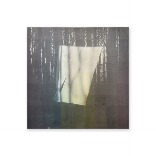 Alberonero 82 TONI NEL CAMPO: Abstract screen print, color layers.