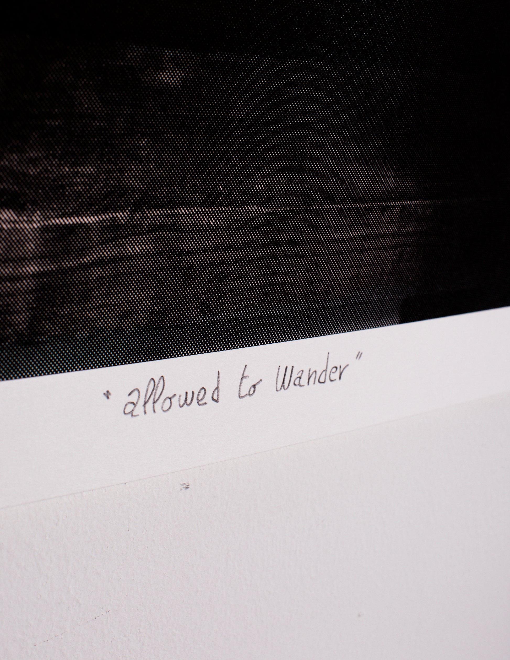 Allowed to Wander, Galleria Varsi