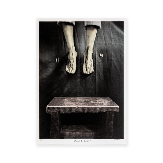 Allowed to Wander - Servadio - Screen Print