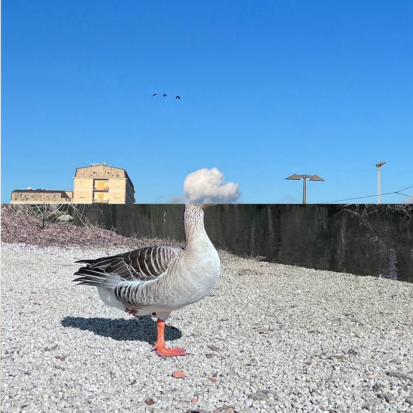 TRIPTYCH - UNTITLED XIII, XIV, XV