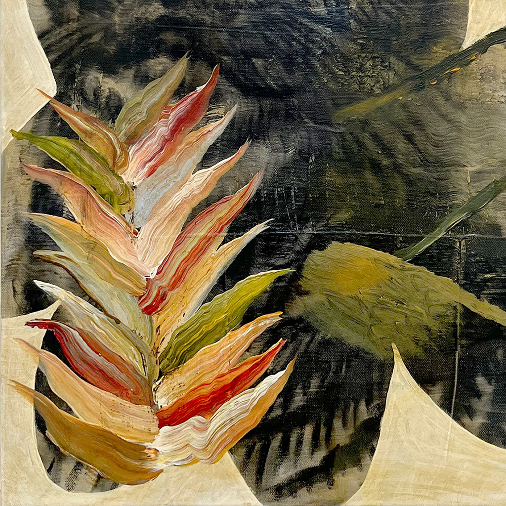 Micio Miao, Giuntini.