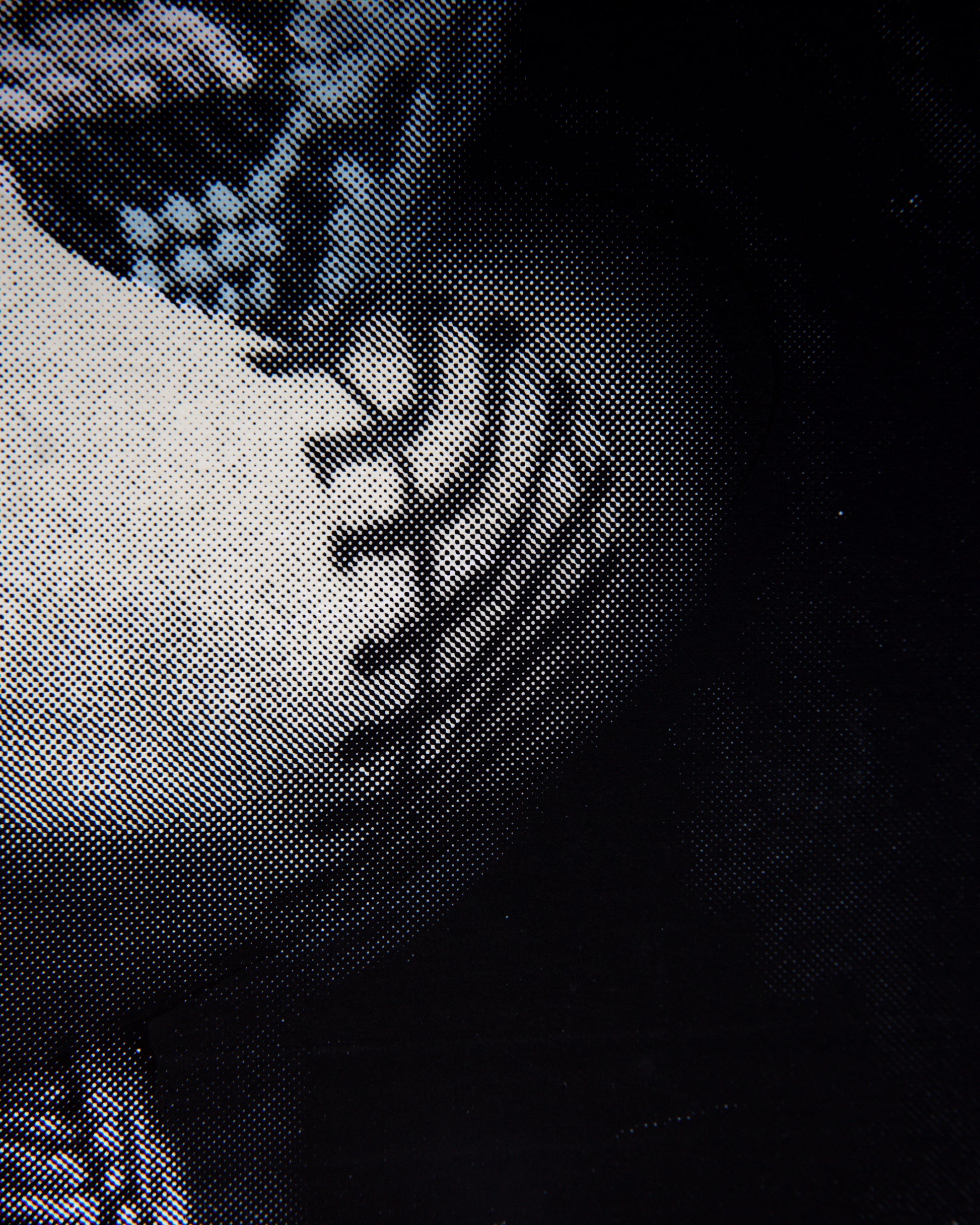 Servadio artwork: Expressive print, unique style.