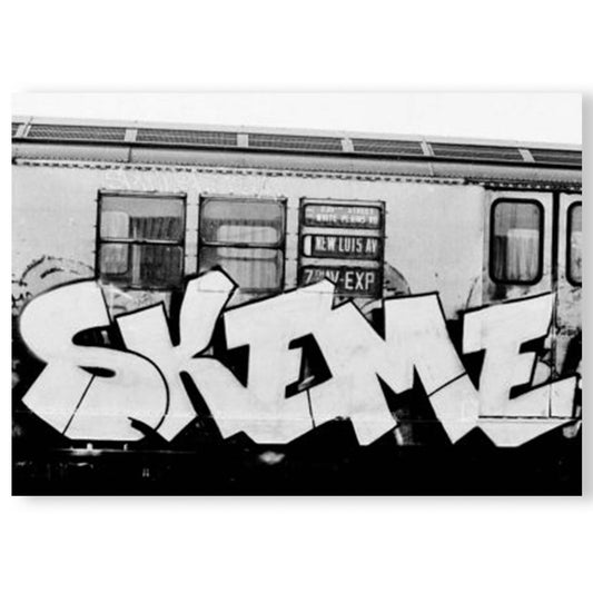 skeme book
