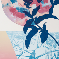 MEDITERRANEO II (Red)