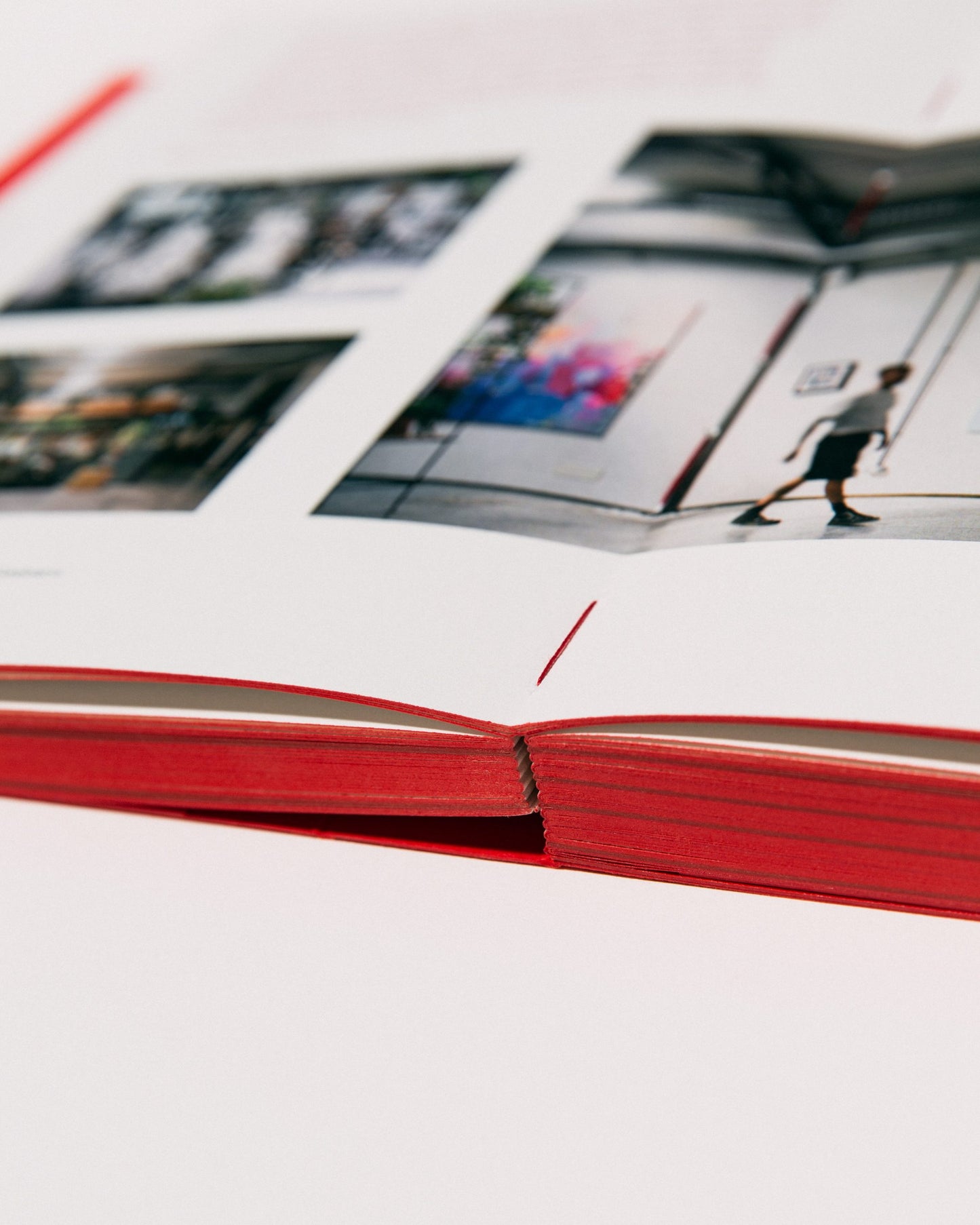 photo book of Varsi from 2013 to 2023