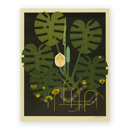 Monstera - Amok Island - Screen Print