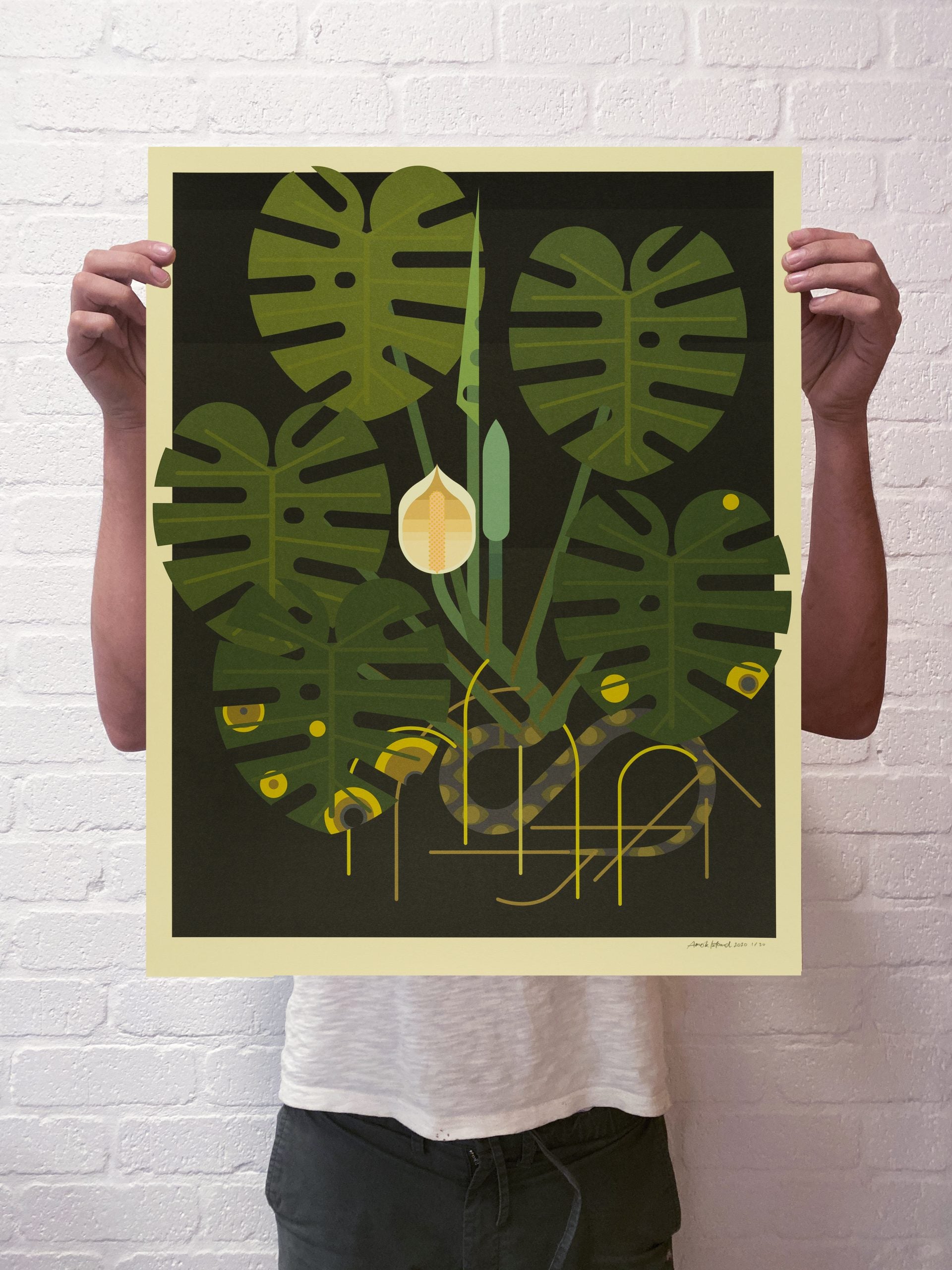 Monstera, minimalist fine art by Amok Island
