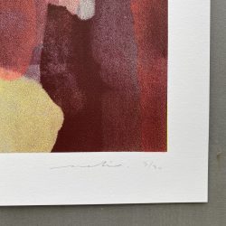 2101111256 (MICROCOSMO)