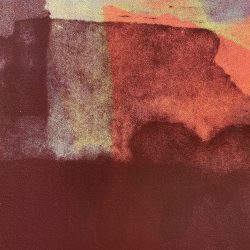 2101111256 (MICROCOSMO)