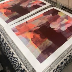 2101111256 (MICROCOSMO)