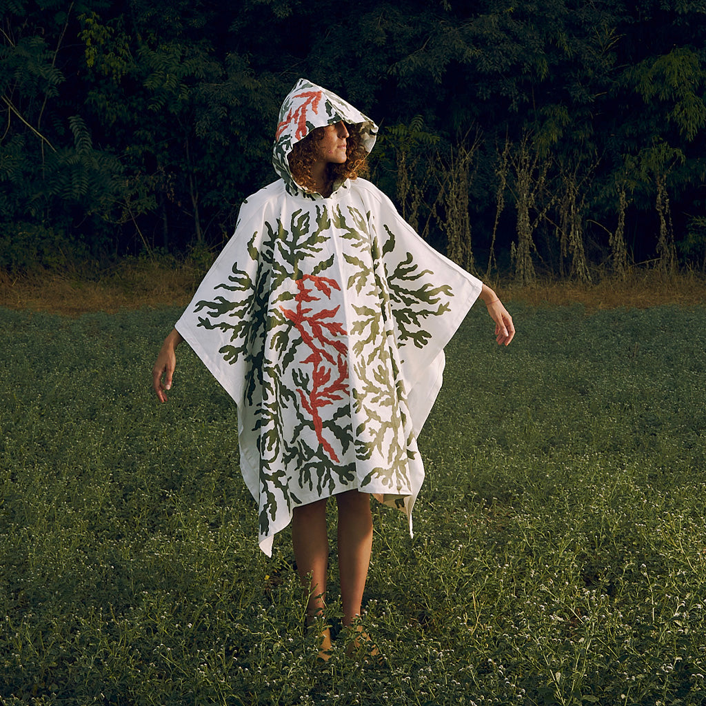 LUMINOSA SELVA - CAPES