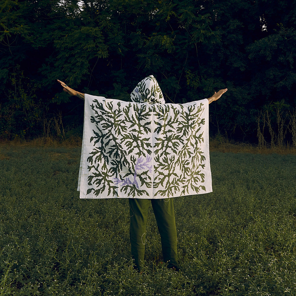 LUMINOSA SELVA - CAPES