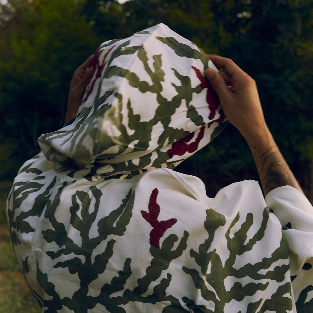 LUMINOSA SELVA - CAPES