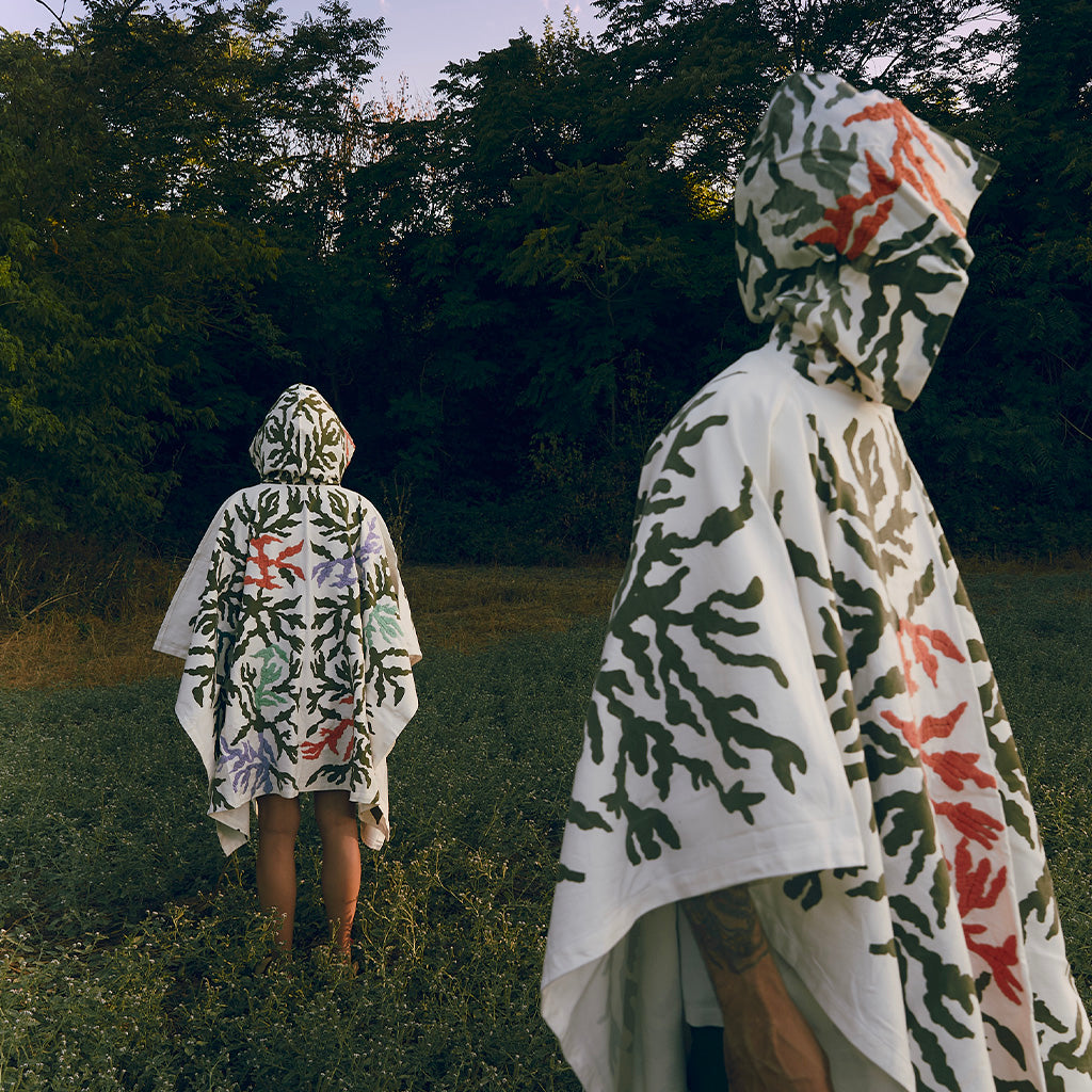 LUMINOSA SELVA - CAPES