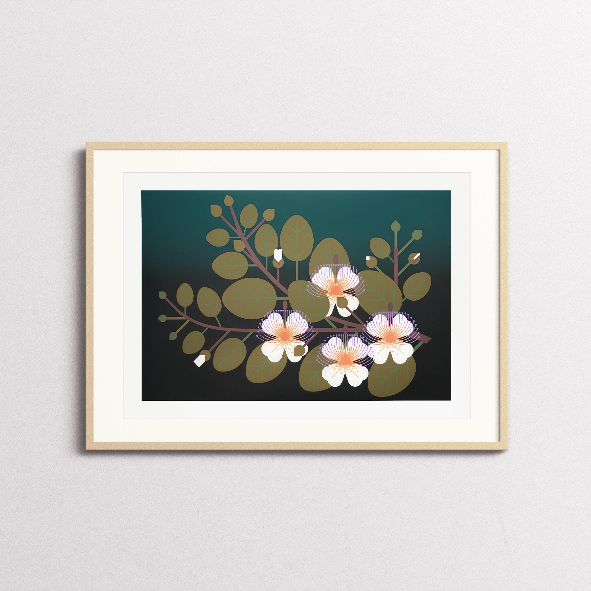 Screen print: Capperi, scientific illustration style.