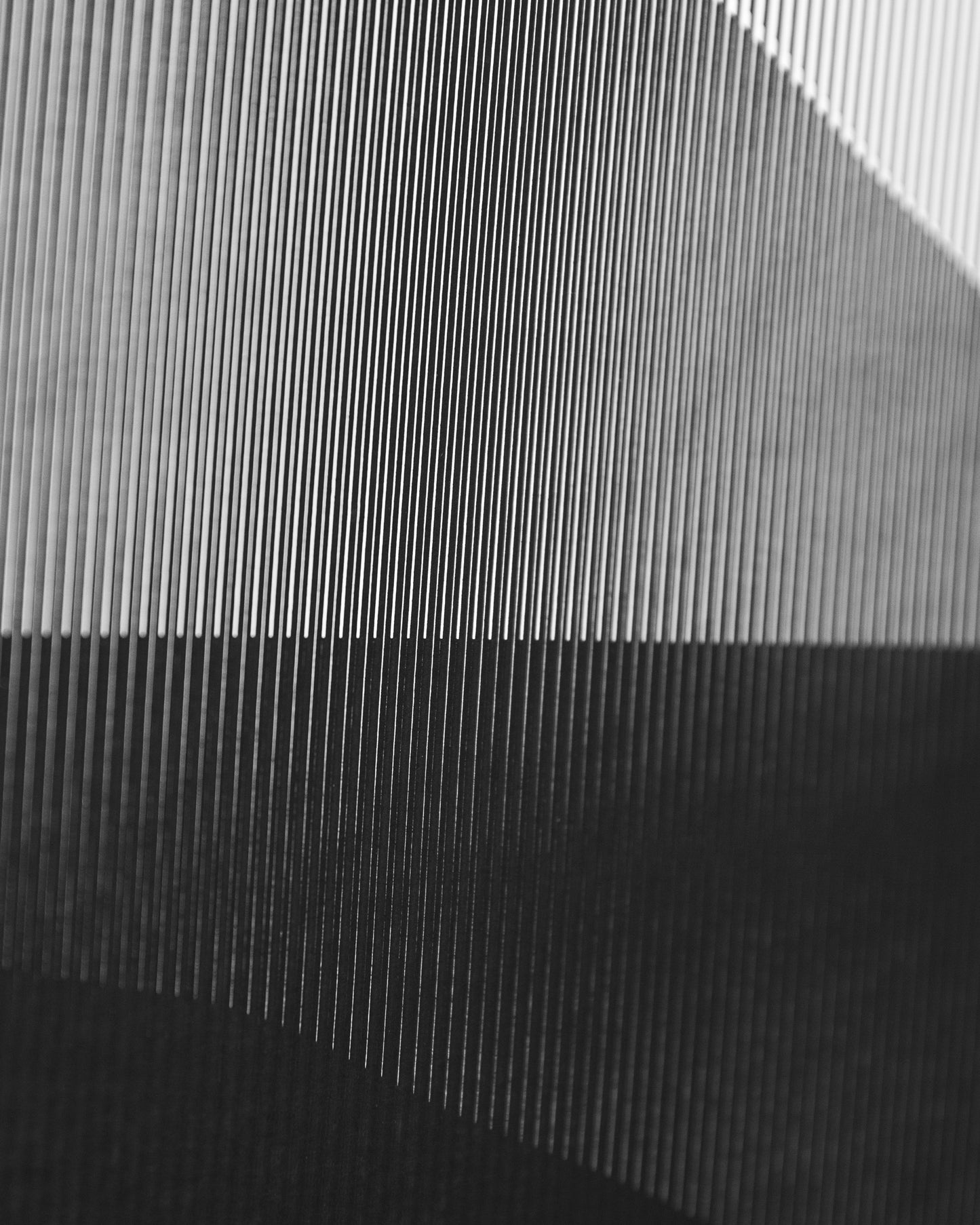 Diffusione I - Ciredz - Screen Print Monotype