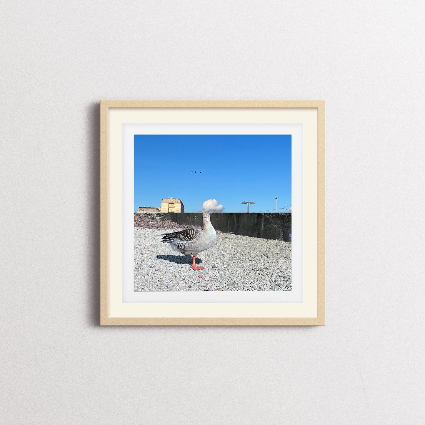 UNTITLED XIV