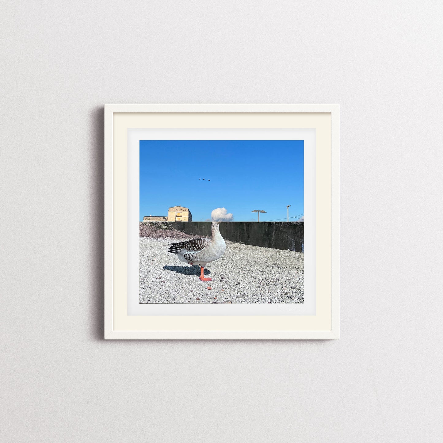 UNTITLED XIV