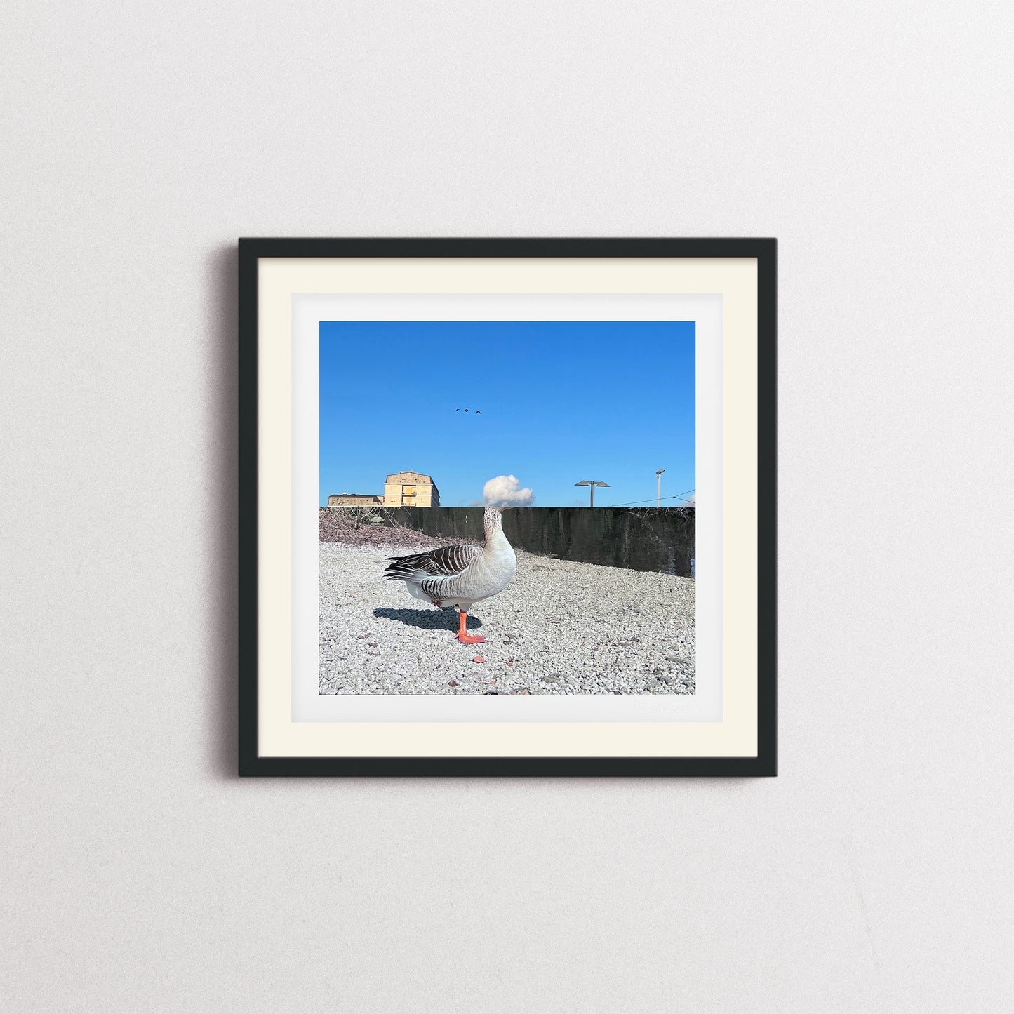 UNTITLED XIV