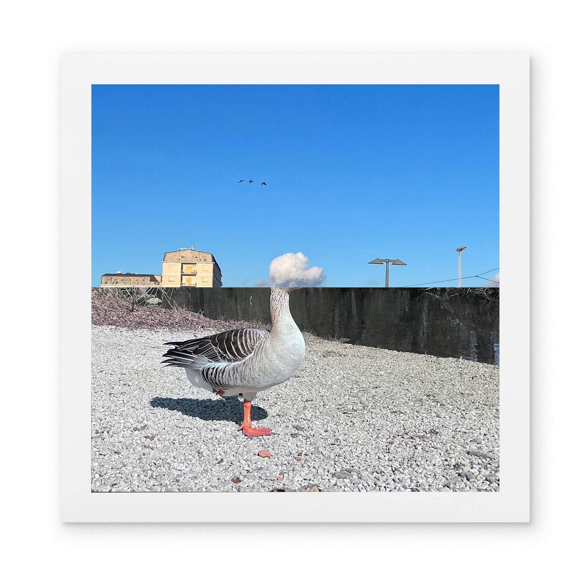 UNTITLED XIV - fontanesi - Giclée print