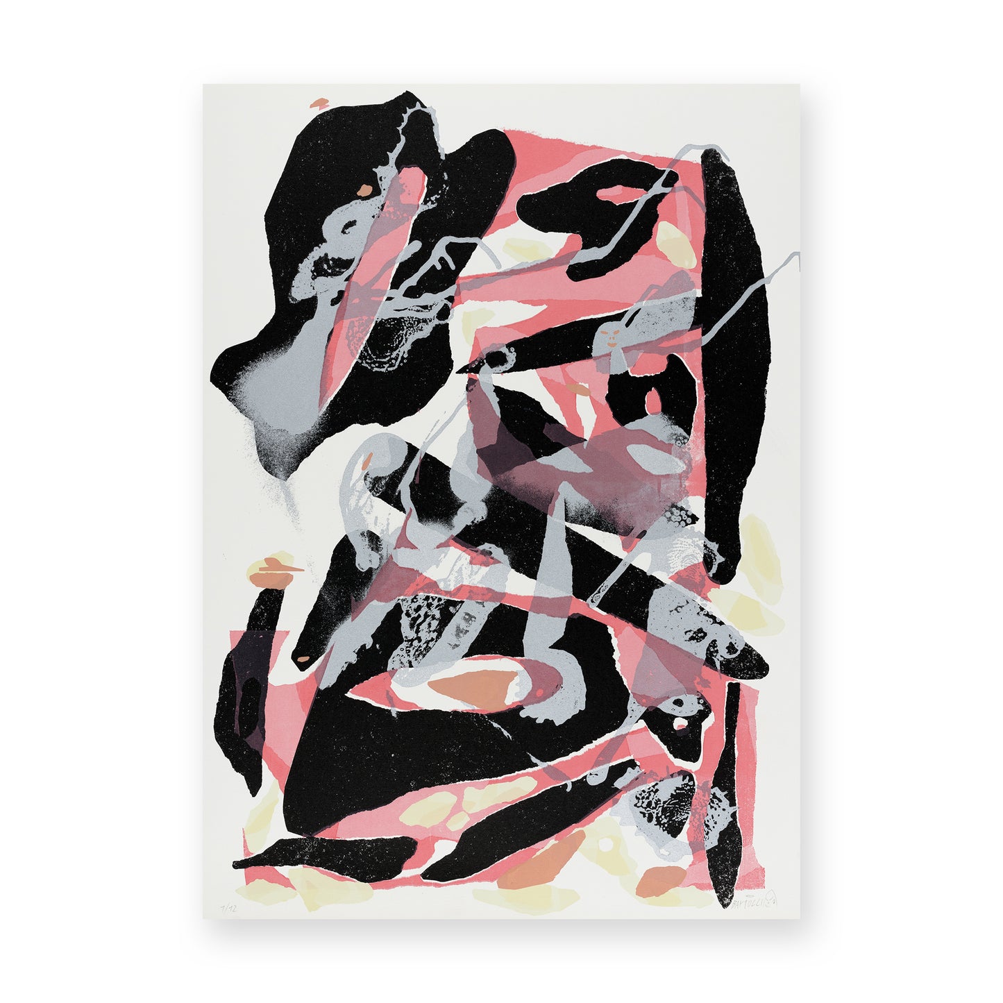 FOSSILI CONTEMPORANEI