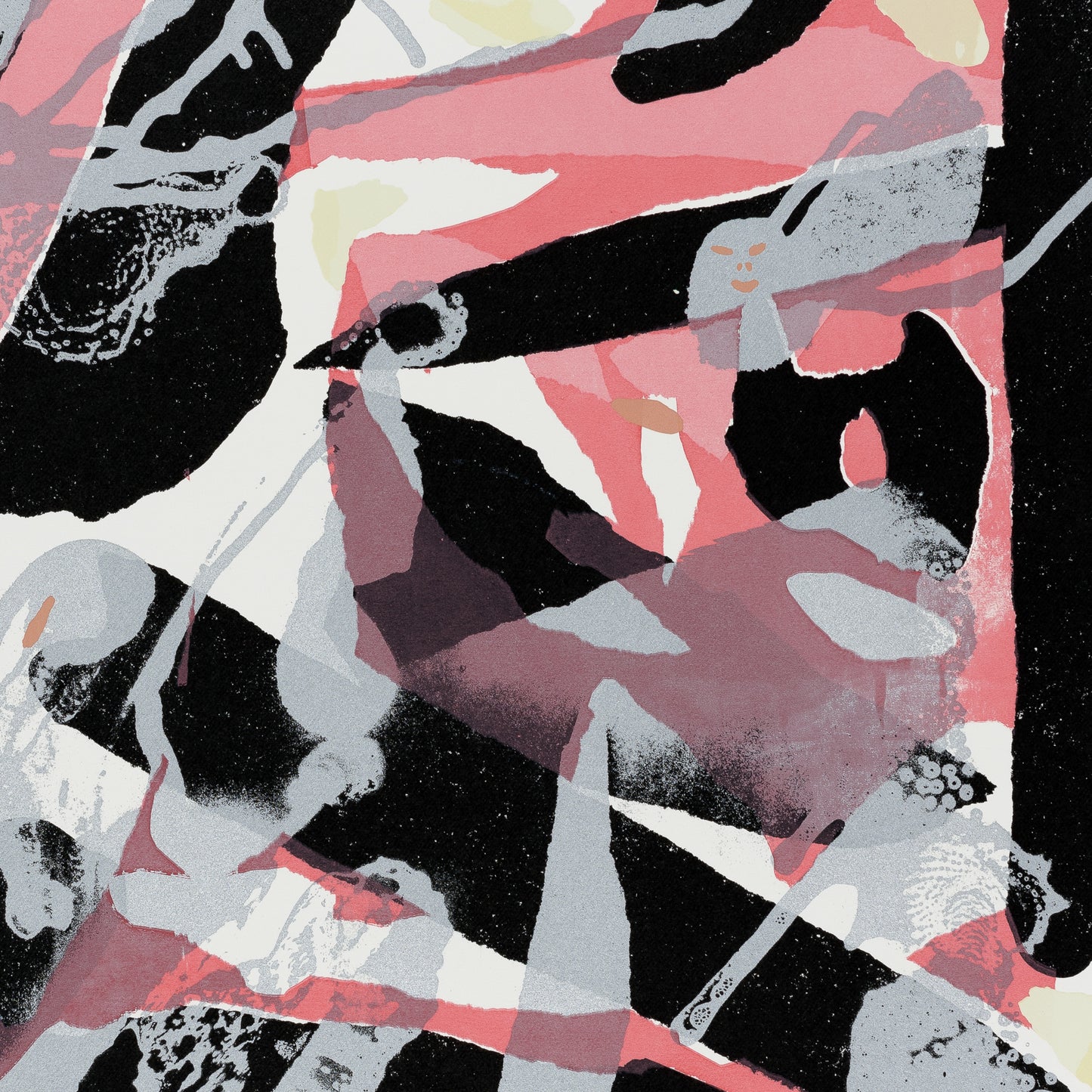 FOSSILI CONTEMPORANEI