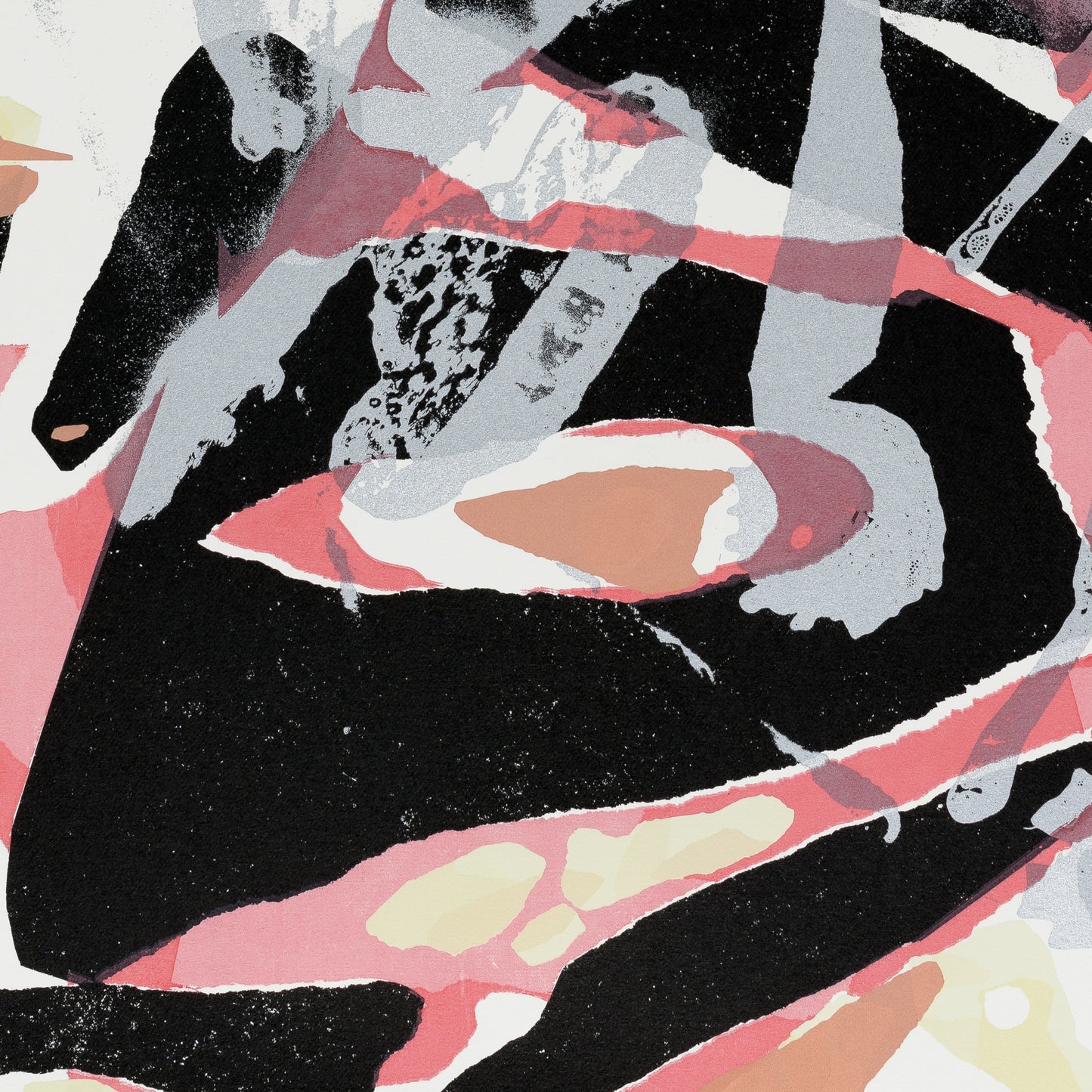 FOSSILI CONTEMPORANEI