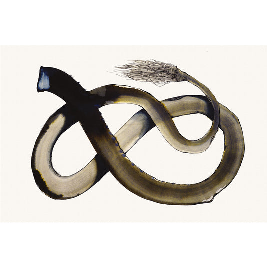 Coda di Uomo - Run -  Watercolor and ink on paper