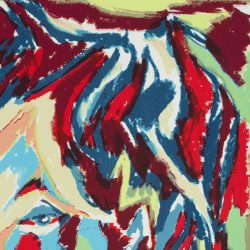 SHADOW’S BEST COMPANION