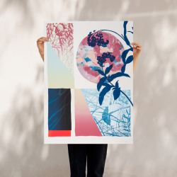 MEDITERRANEO II (Red)