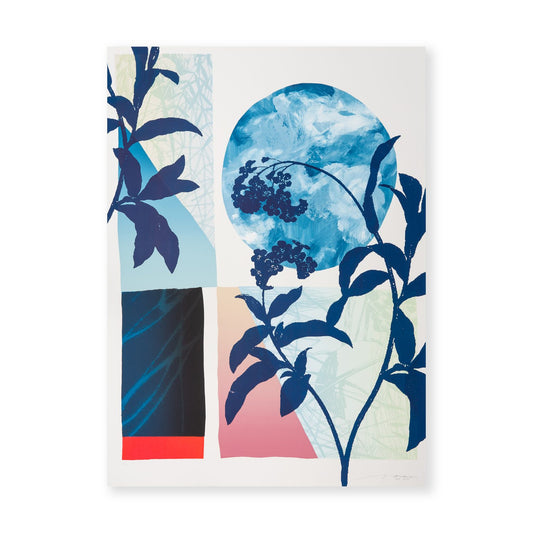 MEDITERRANEO II (Blue)