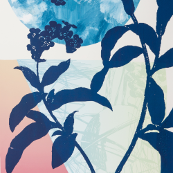 MEDITERRANEO II (Blue)